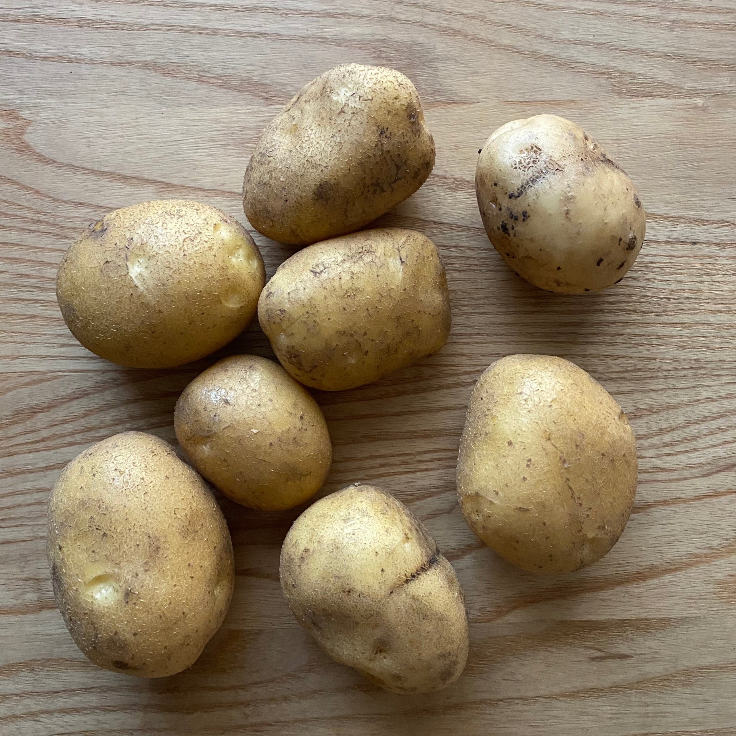 Yellow Potatoes | Blue Mtn | 5 lb. bag